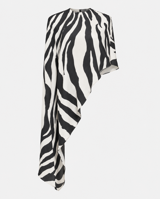 Zebra cape